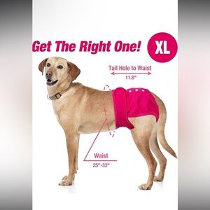 Pet Parents® Washable Dog Diapers (3pack) + Extenders 
NEW